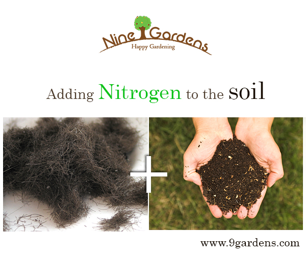 nitrogen in soil