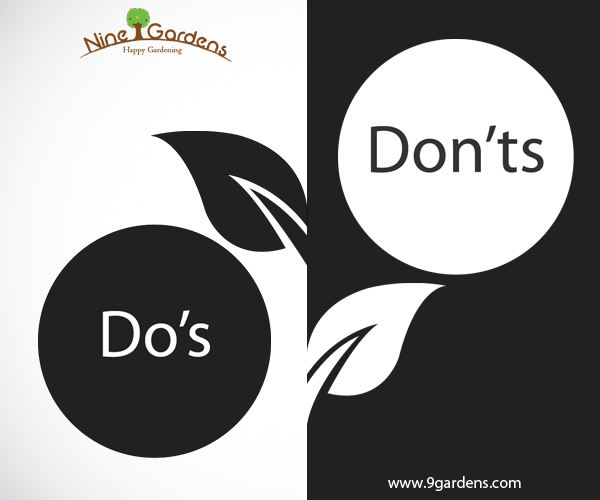 gardening do's and don'ts